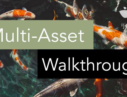 Multi-Asset Walkthrough