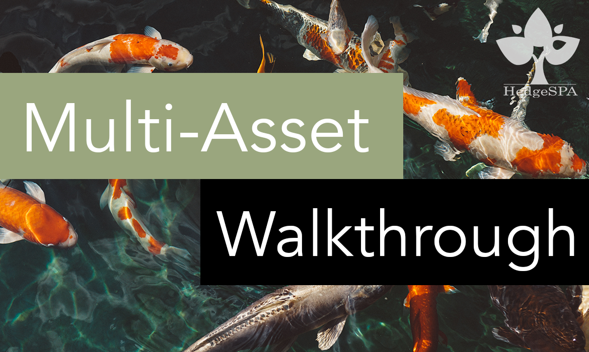 Multi-Asset Walkthrough