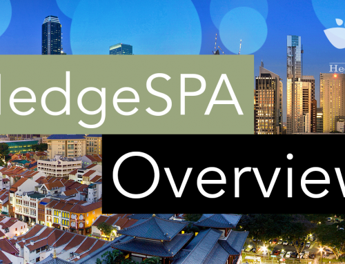 HedgeSPA Overview